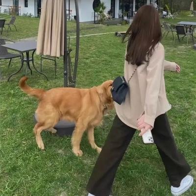 屈辱